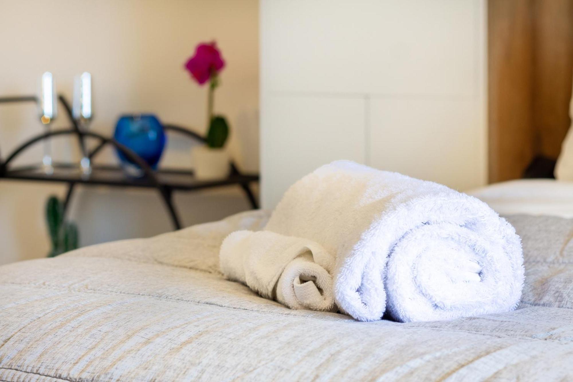 Central City Charm: Pet-Friendly Studio Christchurch Ngoại thất bức ảnh