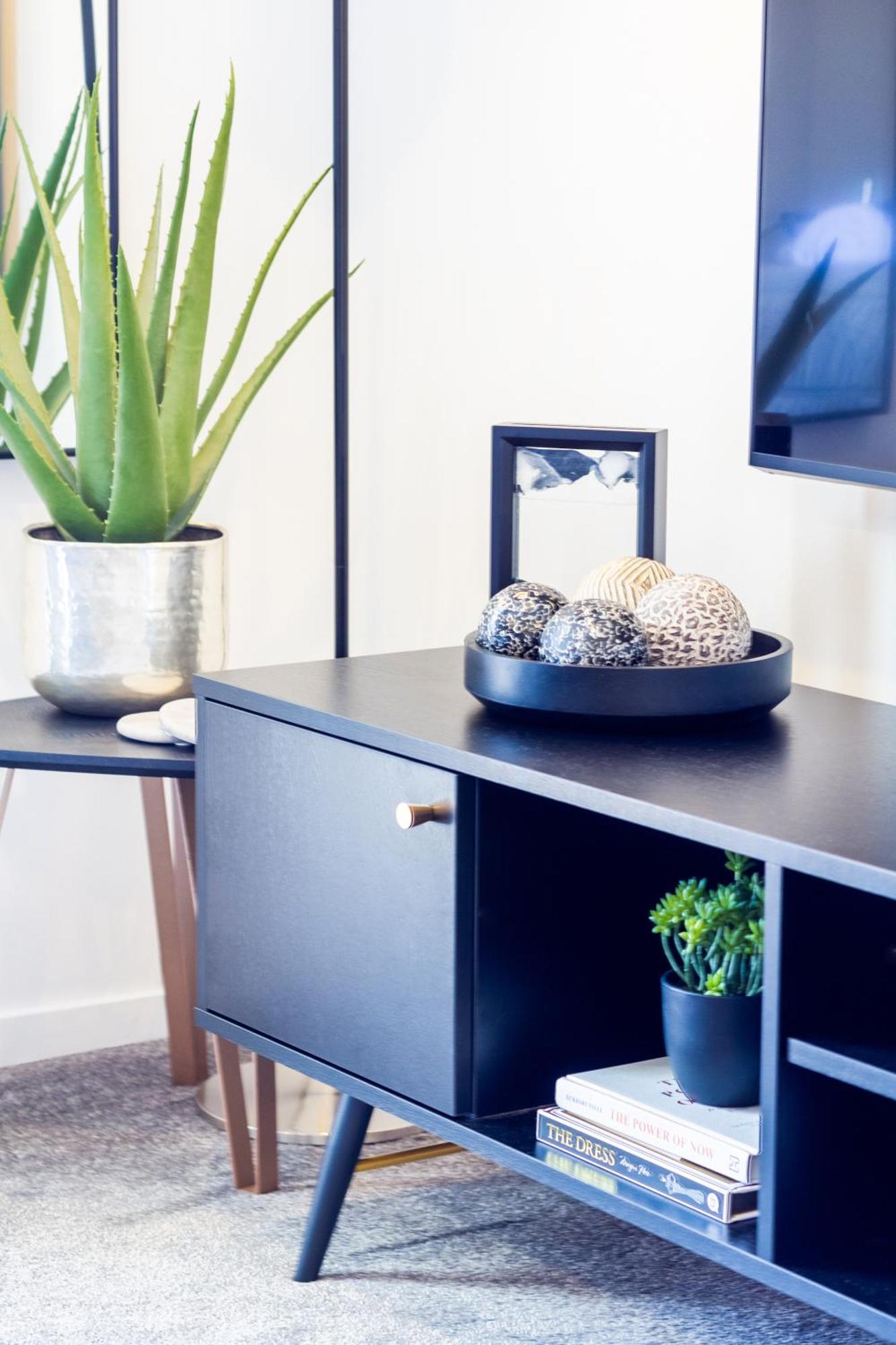 Central City Charm: Pet-Friendly Studio Christchurch Ngoại thất bức ảnh